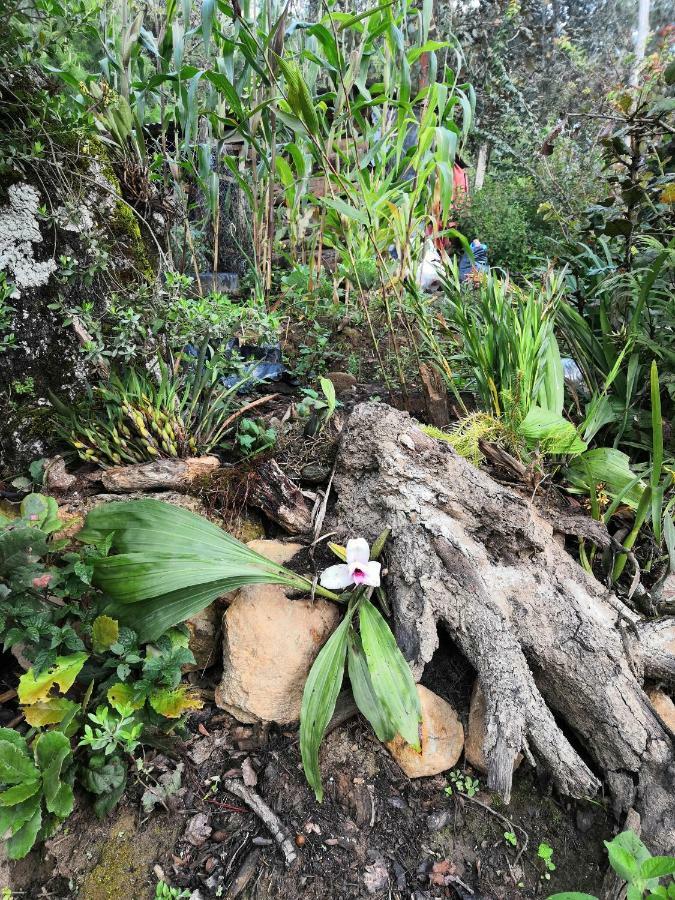 Renta De Cabanas, Centro Ecoturistico Rural Sustentable Labor San Jose San Cristóbal de Las Casas 외부 사진